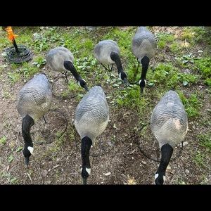 Goose decoys